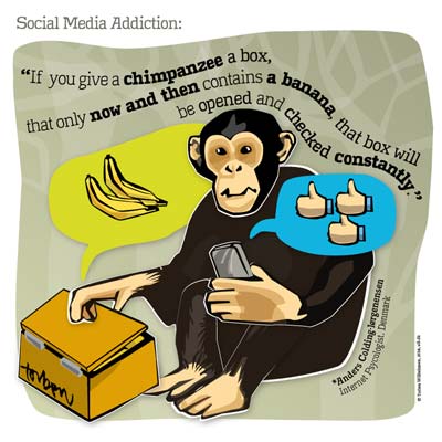 Illustration: Chimp brain